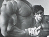 arnold-side-chest