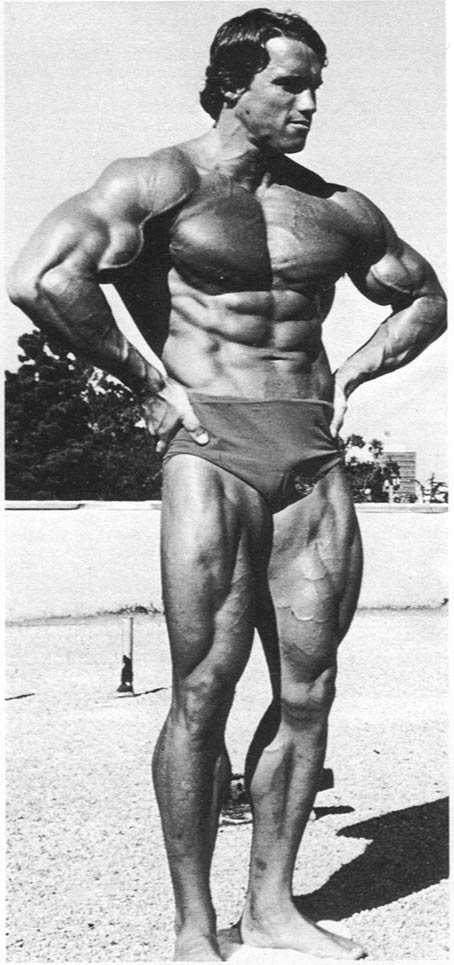 arnold schwarzenegger workout routine. Arnold Schwarzenegger