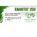 enantat-250_dragon_pharma