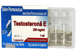 testosterone enanthate balkan pharmaceuticals Testosterone Enanthate