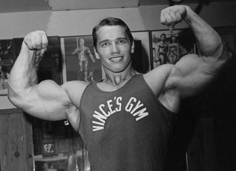 arnold swarchenegger bodybuilder. Consistency in odybuilding