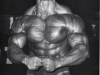 arnold-schwarzenegger-most-muscular-2