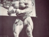 arnold-schwarzenegger-most-muscular