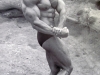 arnold-schwarzenegger-pose-6