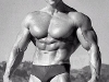 arnold-front