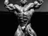 flex-wheeler-oct-2016