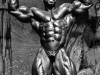 flexwheeler