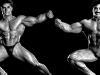 bannout-benfatto