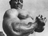 sergio-oliva-muscles8