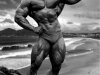 sergio-oliva2