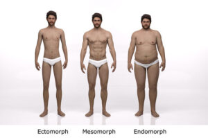 Endomorph Diet