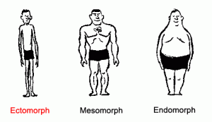 Ectomorphs Use Steroids