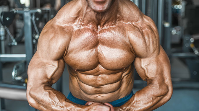 What Can a Good Steroids Cycle