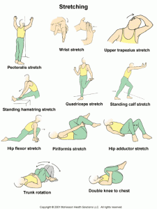 Bodybuilding Stretching Exercises