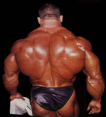 Dorian Yates' Back Workout