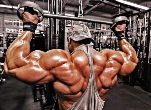 roelly winklaar (2)