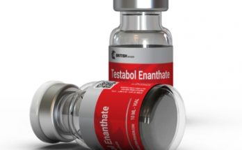 British Dragon testobol enanthate 250