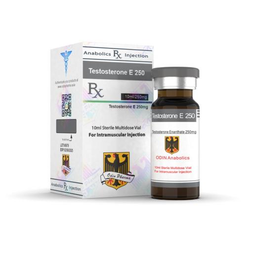 odin pharma testosterone e