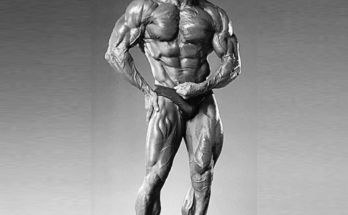 frank zane workout