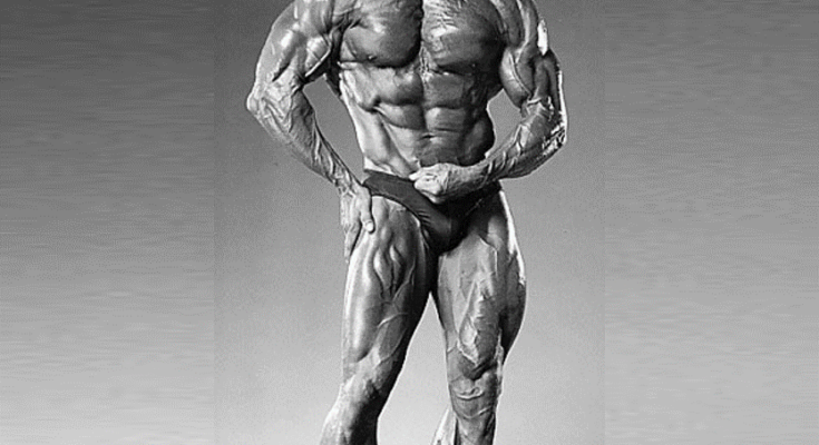 frank zane workout