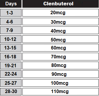 Clenbuterol Cycle